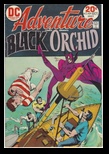 Adventure Comics black_orchid_429_oct_1973.jpg